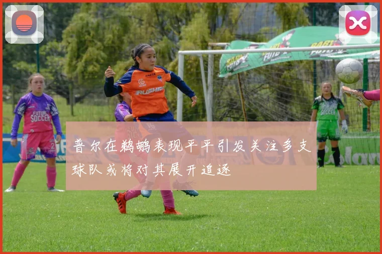 普尔在鹈鹕表现平平引发关注多支球队或将对其展开追逐