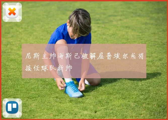 尼斯主帅海斯已被解雇普埃尔或将接任球队新帅